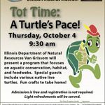 Tot Time: A Turtle\'s Pace
