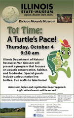Tot Time: A Turtle\'s Pace