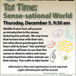 Tot Time: Sense-sational World