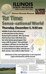 Tot Time: Sense-sational World